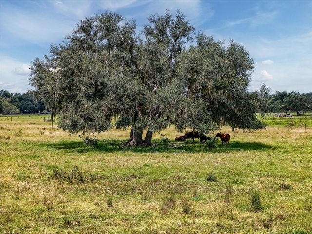 12950 RIVER ROAD, Myakka City, FL 34251