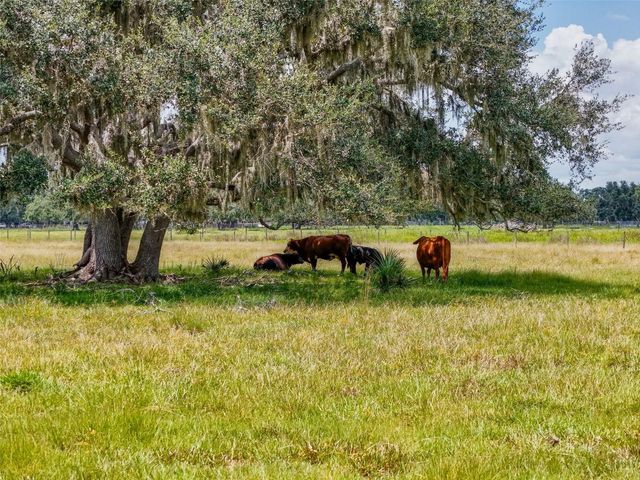 12950 RIVER ROAD, Myakka City, FL 34251