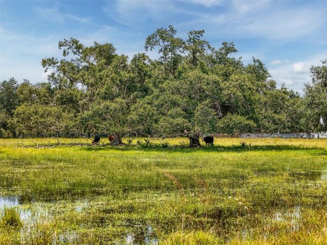 12950 RIVER ROAD, Myakka City, FL 34251