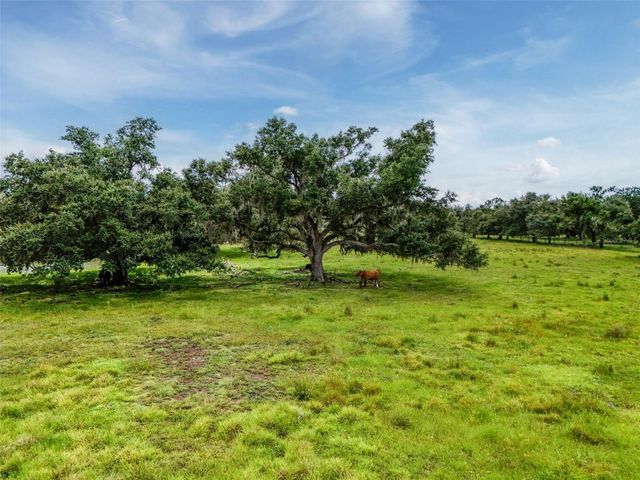 12950 RIVER ROAD, Myakka City, FL 34251