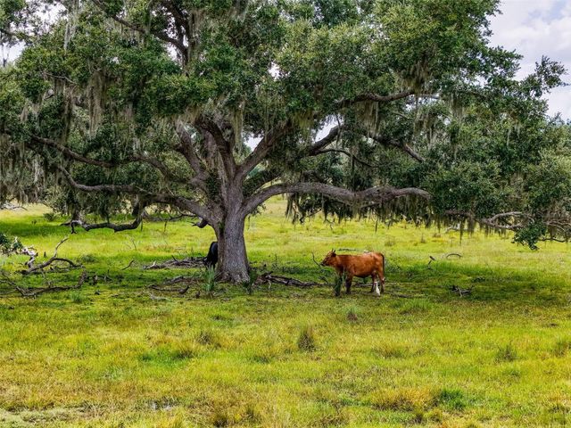 12950 RIVER ROAD, Myakka City, FL 34251