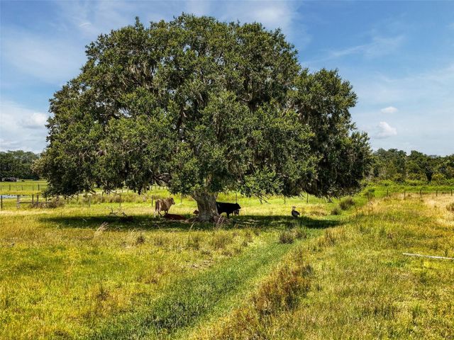 12950 RIVER ROAD, Myakka City, FL 34251