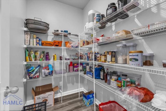 50 Palmer Place, Richmond Hill, GA 31324