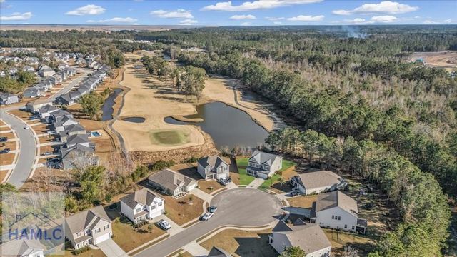 50 Palmer Place, Richmond Hill, GA 31324