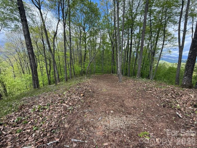 1817 E Reach Road 216, Sylva, NC 28779