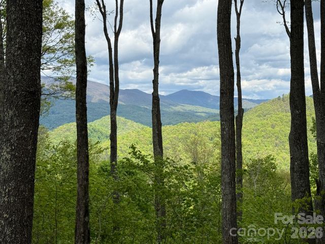 1817 E Reach Road 216, Sylva, NC 28779