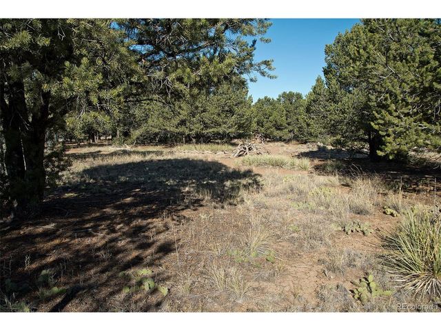 2077 Medicine Bow Overlook, Crestone, CO 81131