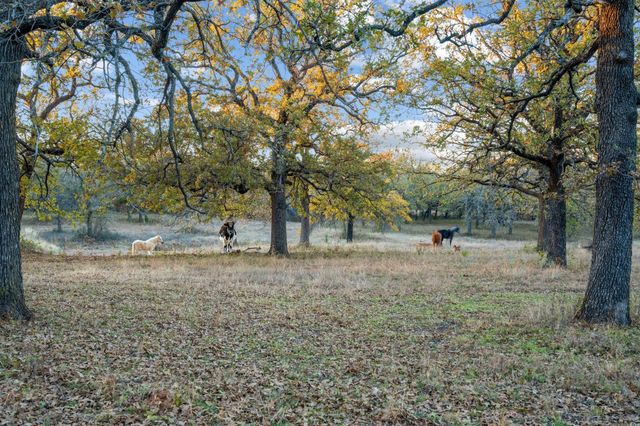 12664 Highway 199 W, Poolville, TX 76487