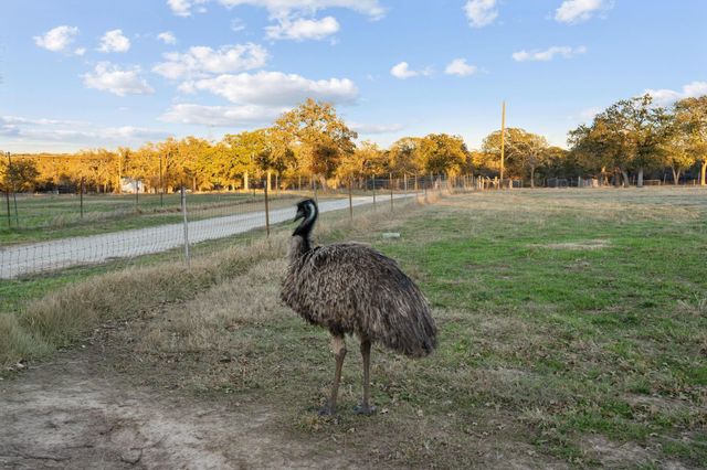 12664 Highway 199 W, Poolville, TX 76487