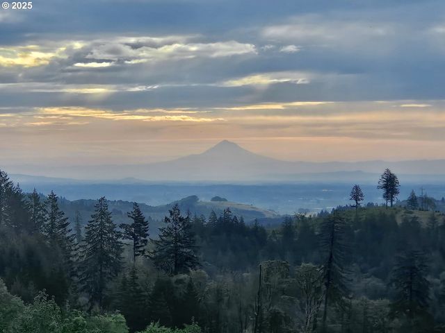 11890 Sw DUPEE VALLEY Rd, Mc Minnville, OR 97128