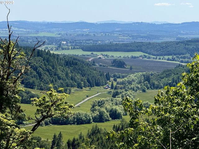 11890 Sw DUPEE VALLEY Rd, Mc Minnville, OR 97128