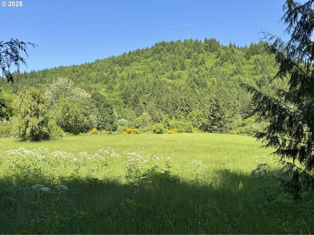 11890 Sw DUPEE VALLEY Rd, Mc Minnville, OR 97128