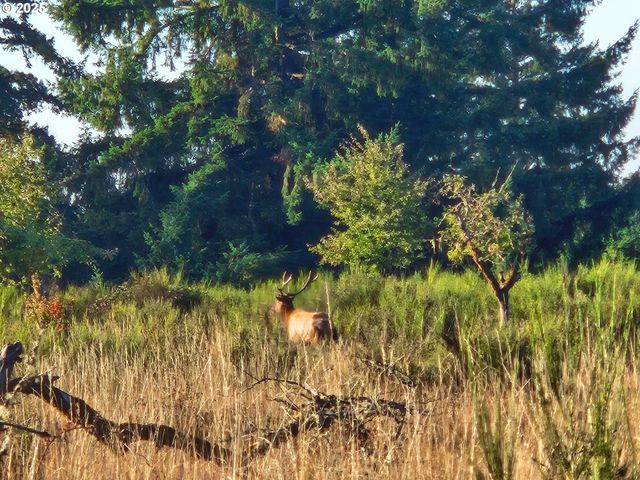11890 Sw DUPEE VALLEY Rd, Mc Minnville, OR 97128