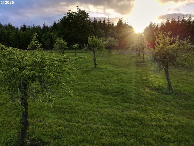 11890 Sw DUPEE VALLEY Rd, Mc Minnville, OR 97128