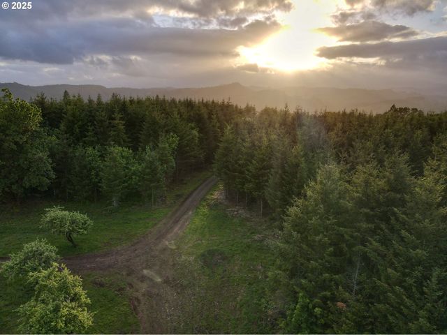 11890 Sw DUPEE VALLEY Rd, Mc Minnville, OR 97128