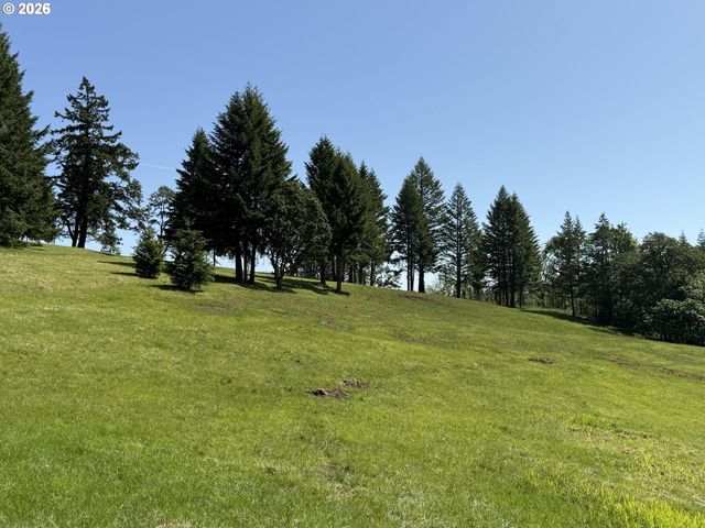 11890 Sw DUPEE VALLEY Rd, Mc Minnville, OR 97128