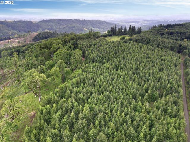 11890 Sw DUPEE VALLEY Rd, Mc Minnville, OR 97128