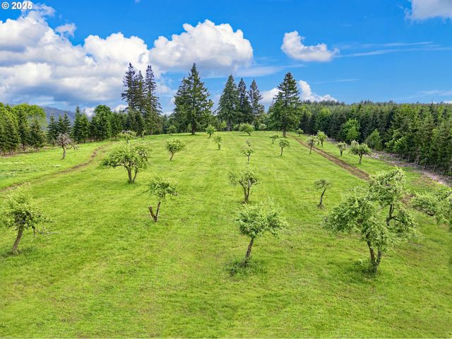 11890 Sw DUPEE VALLEY Rd, Mc Minnville, OR 97128