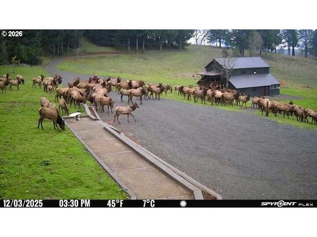 11890 Sw DUPEE VALLEY Rd, Mc Minnville, OR 97128