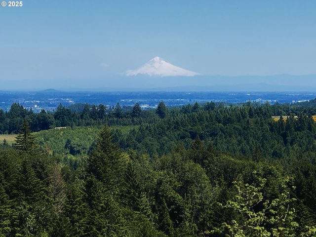 11890 Sw DUPEE VALLEY Rd, Mc Minnville, OR 97128