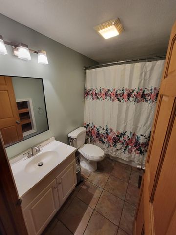 709 E Isham Street, Ionia Twp, MI 48851