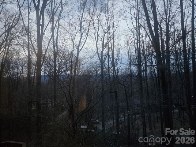 8 Shadywood Circle, Asheville, NC 28803