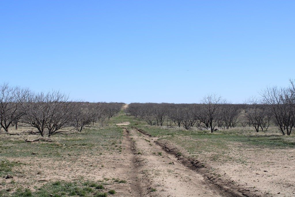 Image 10 of property listing at 0000 Hwy 67 191.16, Ballinger, TX 76821