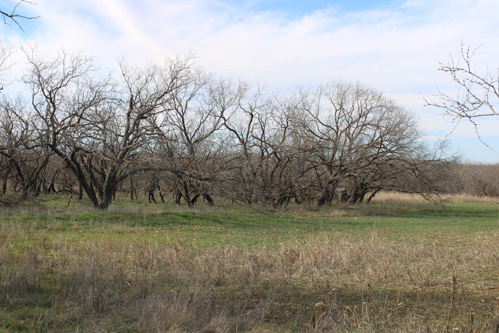 Image 11 of property listing at 0000 Hwy 67 191.16, Ballinger, TX 76821