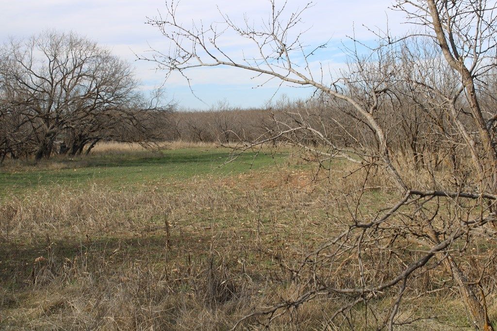 Image 12 of property listing at 0000 Hwy 67 191.16, Ballinger, TX 76821