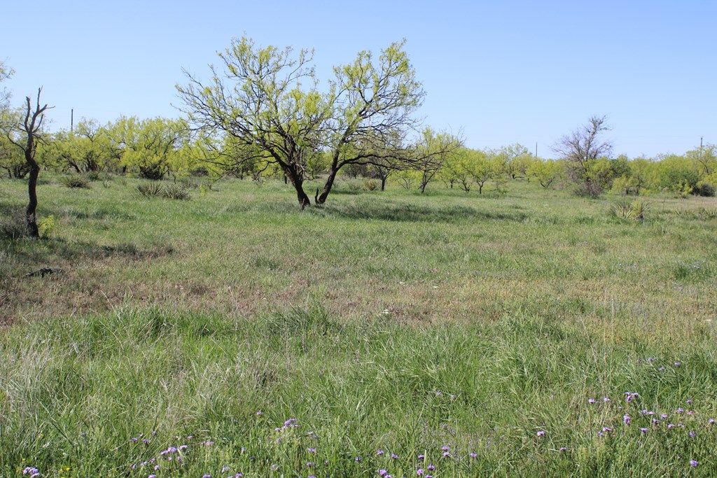 Image 13 of property listing at 0000 Hwy 67 191.16, Ballinger, TX 76821