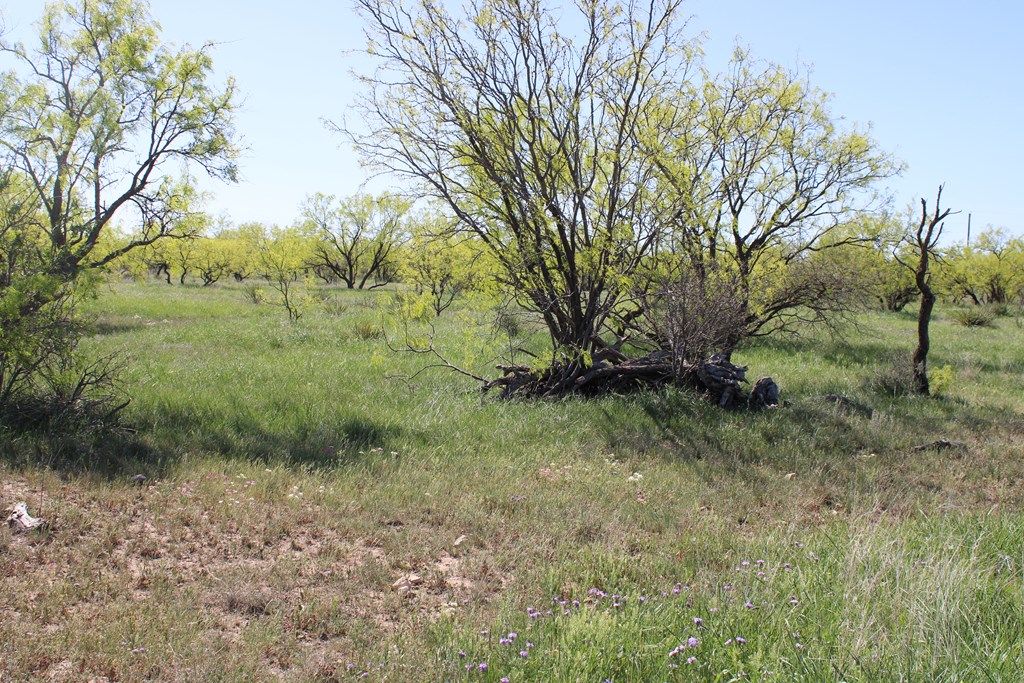 Image 14 of property listing at 0000 Hwy 67 191.16, Ballinger, TX 76821