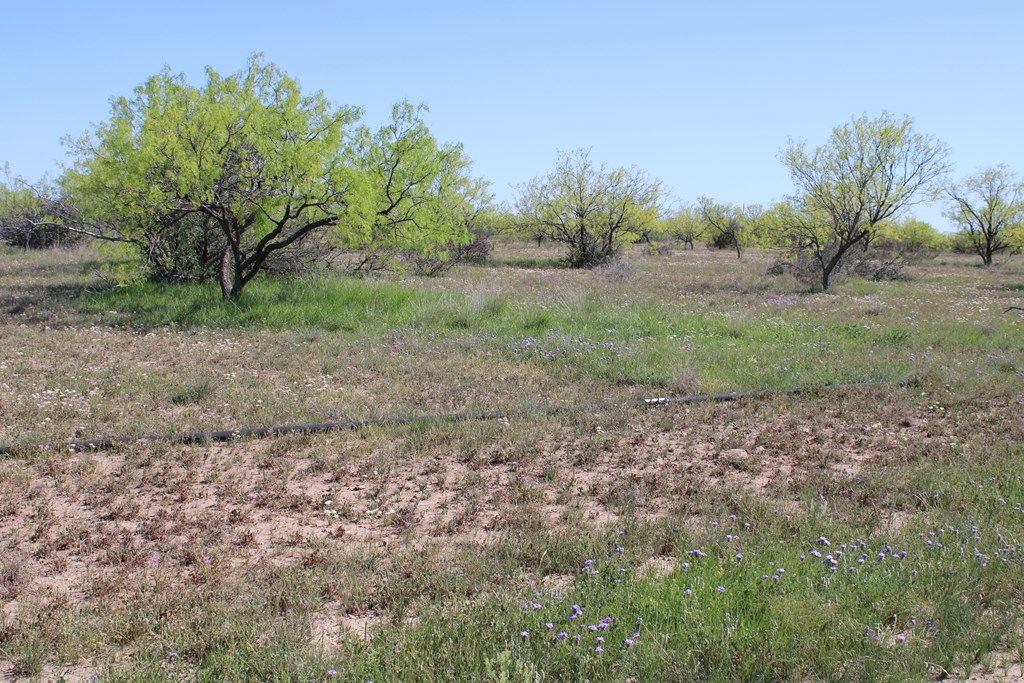 Image 15 of property listing at 0000 Hwy 67 191.16, Ballinger, TX 76821