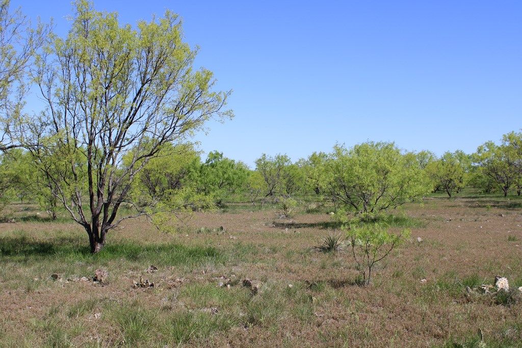 Image 16 of property listing at 0000 Hwy 67 191.16, Ballinger, TX 76821