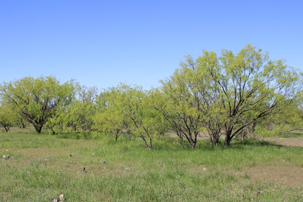 Image 17 of property listing at 0000 Hwy 67 191.16, Ballinger, TX 76821
