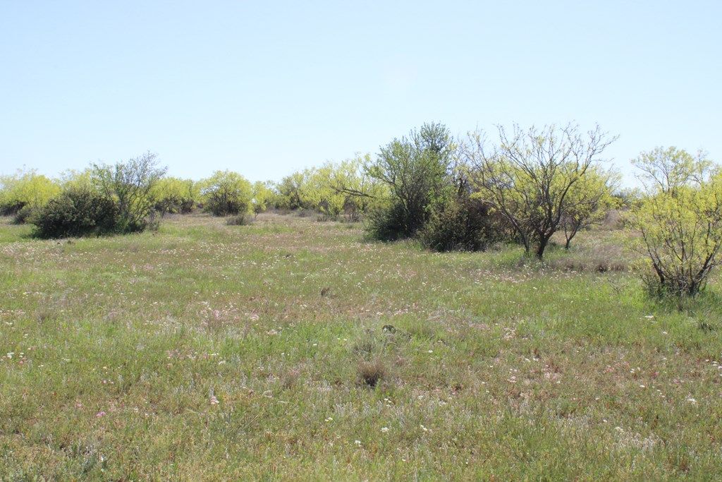 Image 18 of property listing at 0000 Hwy 67 191.16, Ballinger, TX 76821