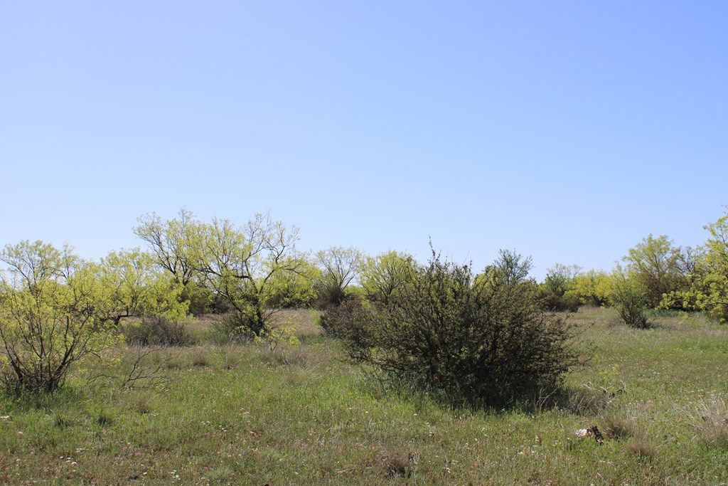 Image 19 of property listing at 0000 Hwy 67 191.16, Ballinger, TX 76821
