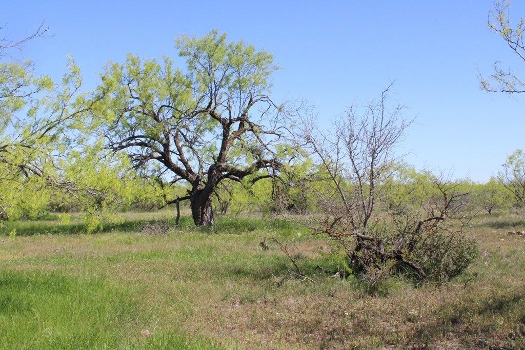 Image 20 of property listing at 0000 Hwy 67 191.16, Ballinger, TX 76821