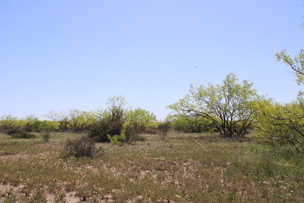 Image 21 of property listing at 0000 Hwy 67 191.16, Ballinger, TX 76821