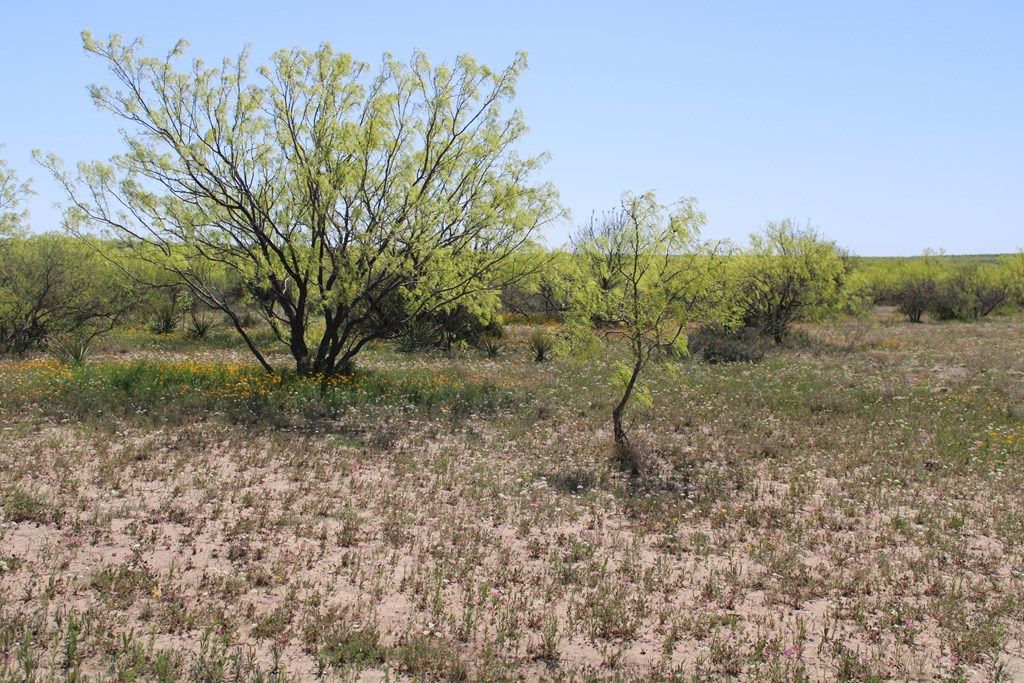 Image 22 of property listing at 0000 Hwy 67 191.16, Ballinger, TX 76821