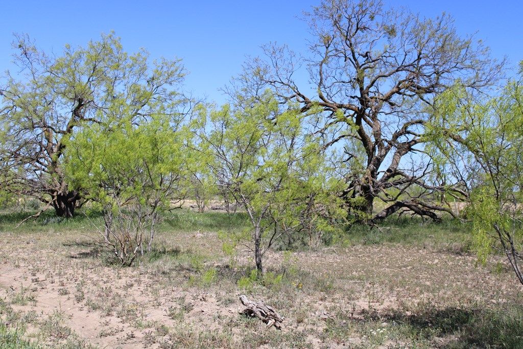Image 25 of property listing at 0000 Hwy 67 191.16, Ballinger, TX 76821