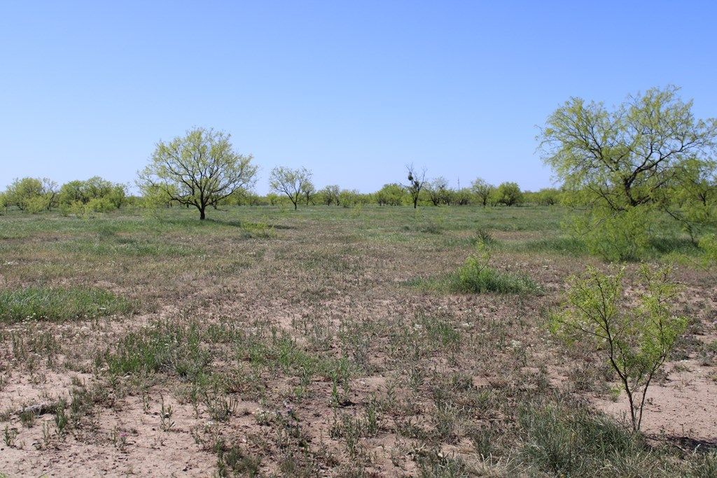 Image 26 of property listing at 0000 Hwy 67 191.16, Ballinger, TX 76821