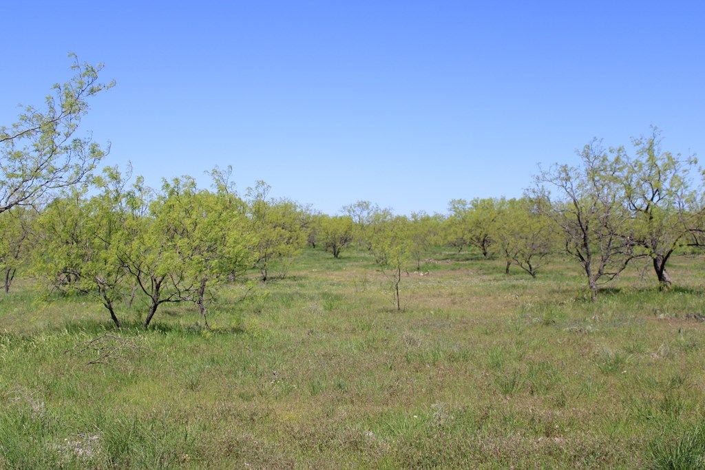 Image 27 of property listing at 0000 Hwy 67 191.16, Ballinger, TX 76821