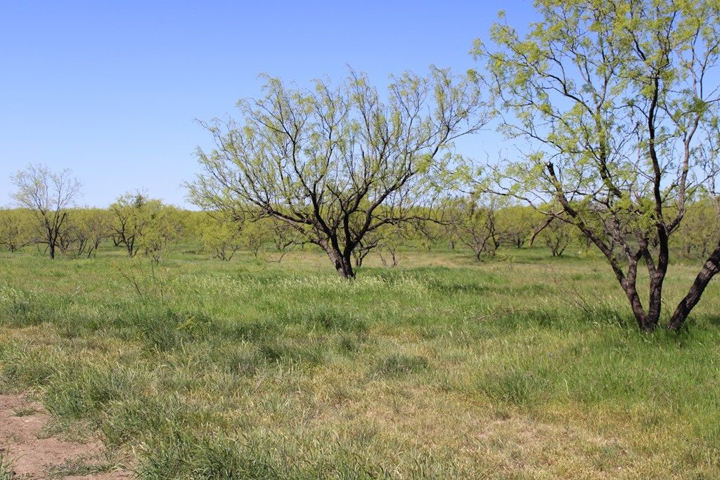 Image 28 of property listing at 0000 Hwy 67 191.16, Ballinger, TX 76821