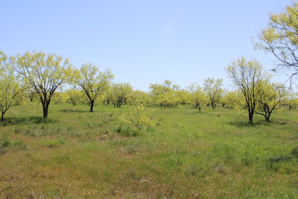 Image 29 of property listing at 0000 Hwy 67 191.16, Ballinger, TX 76821