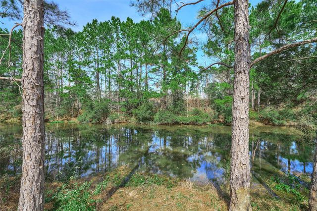 22964 Brazos Drive, Porter, TX 77365