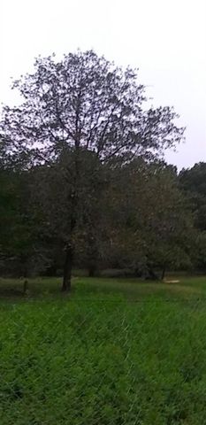 5995 Pr 2065, Centerville, TX 75833