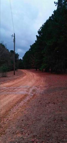 5995 Pr 2065, Centerville, TX 75833