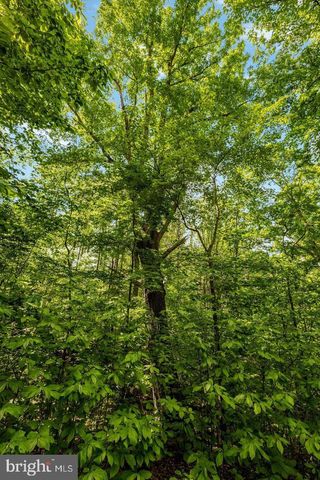 105 INTERPROMONTORY RD, Great Falls, VA 22066