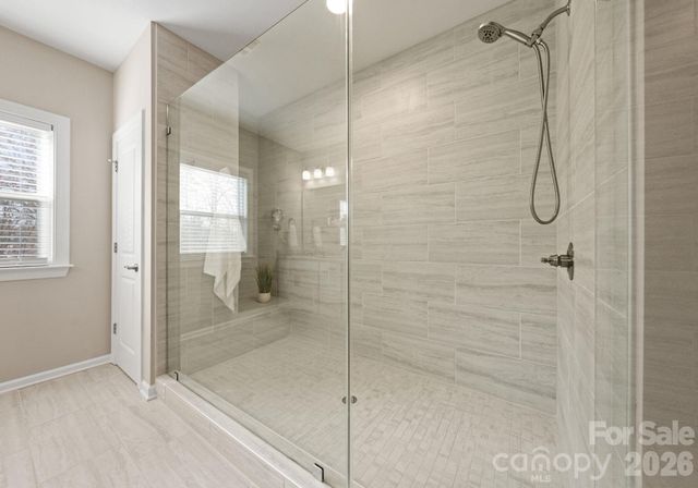 10416 Audubon Ridge Drive, Cornelius, NC 28031