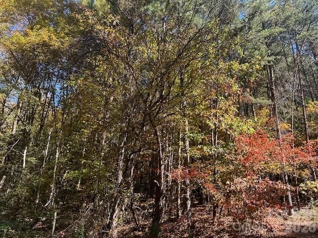 4294 South View Boulevard, Morganton, NC 28655